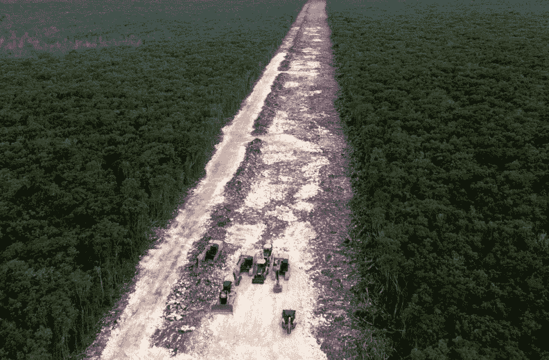 Han Talado Casi 35 Millones De árboles Por Construcción Del Tren Maya Contraste Política Y 6809