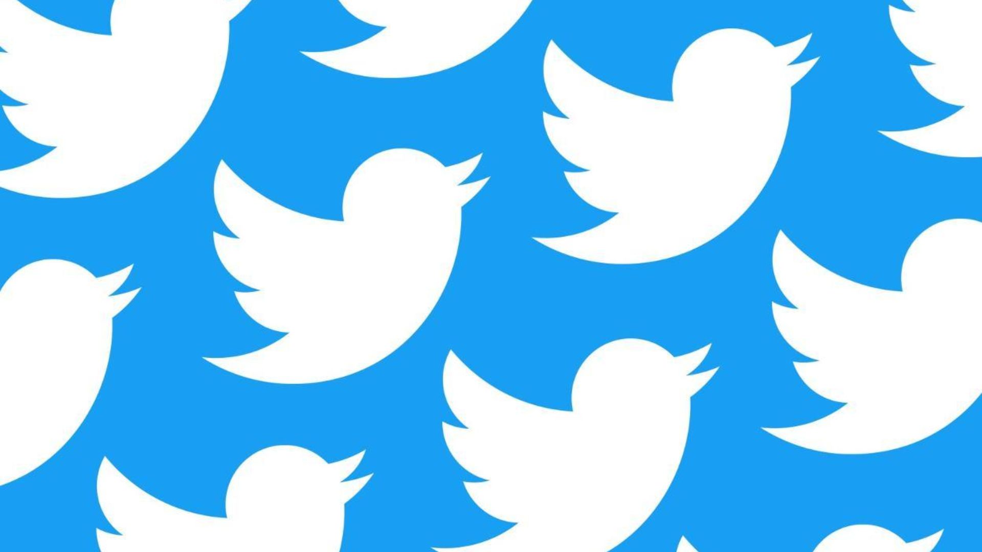 Twitter tendrá un nuevo logo, adiós al pajarito azul Contraste